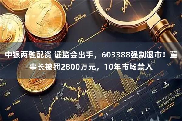 中银两融配资 证监会出手，603388强制退市！董事长被罚2800万元，10年市场禁入