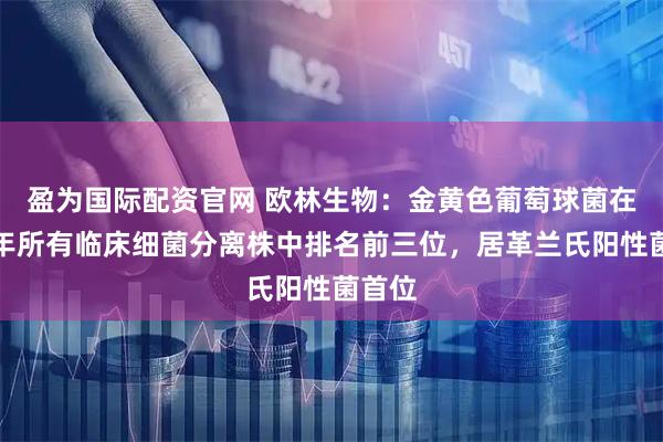 盈为国际配资官网 欧林生物：金黄色葡萄球菌在近五年所有临床细菌分离株中排名前三位，居革兰氏阳性菌首位