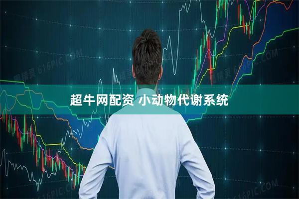 超牛网配资 小动物代谢系统