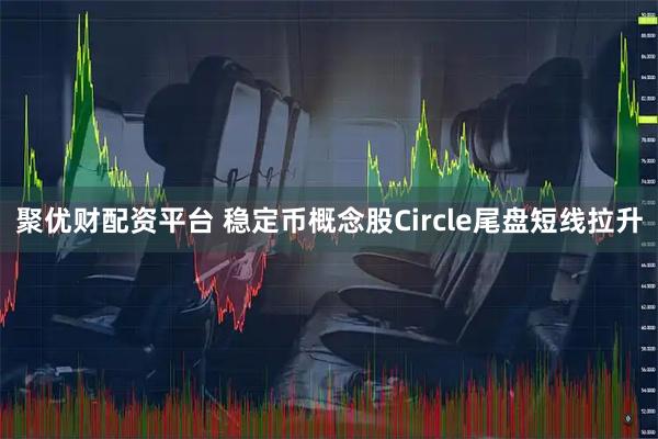 聚优财配资平台 稳定币概念股Circle尾盘短线拉升