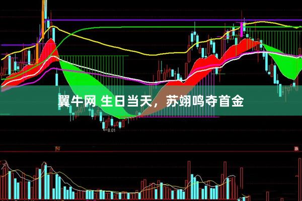 翼牛网 生日当天，苏翊鸣夺首金