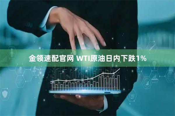 金领速配官网 WTI原油日内下跌1%